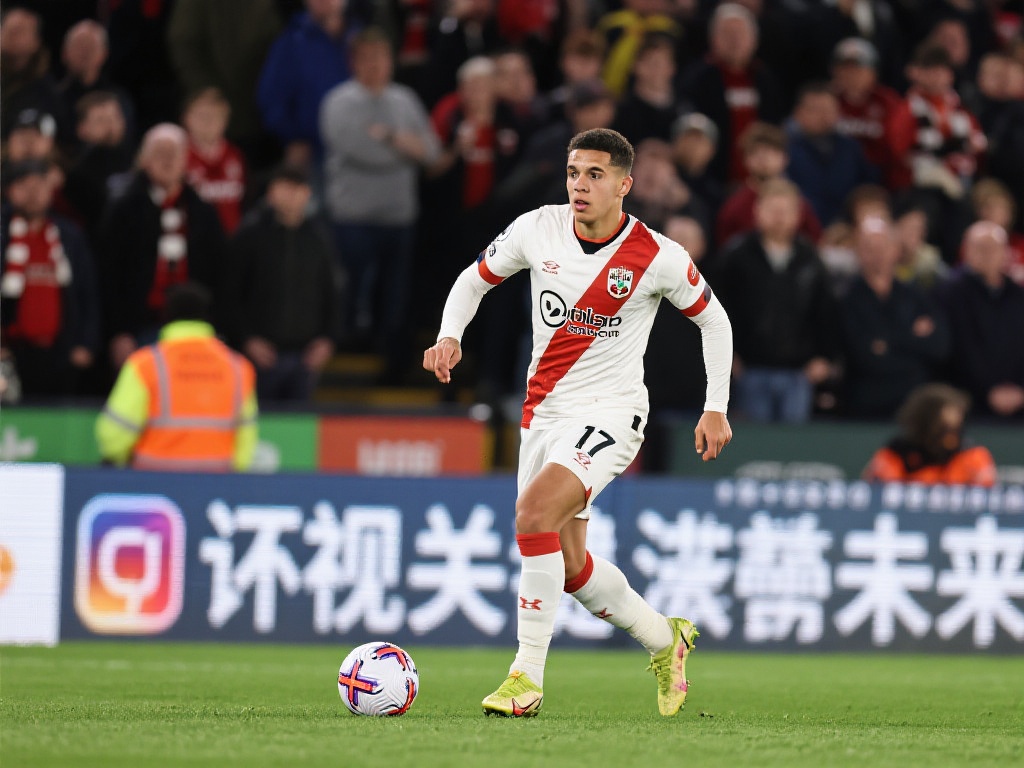 国际比赛 国际比赛